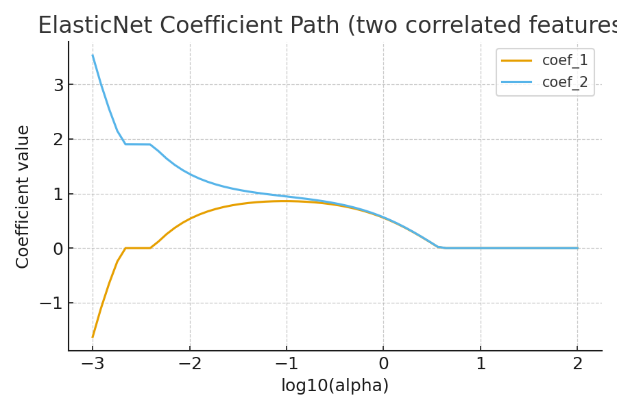 Coefficient path